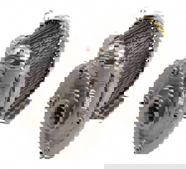 AC Straight Pump: 230/460V, 2 hp, 3 Phase, Cast Iron Housing, Stainless Steel Impeller